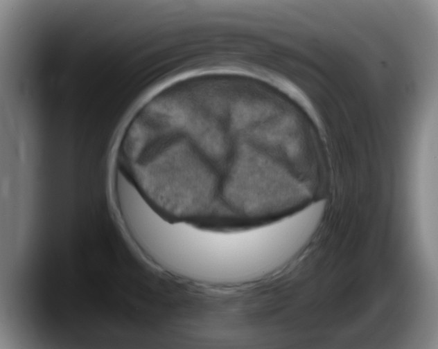 X0000087621528200705251952