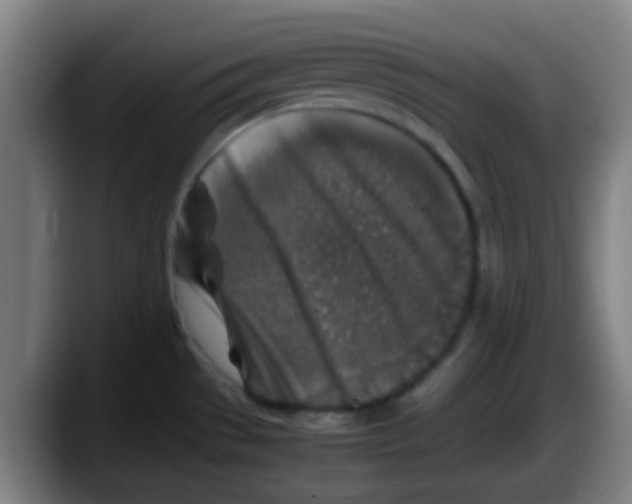 X0000087621529200705251952