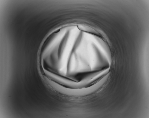 X0000087621530200705251952