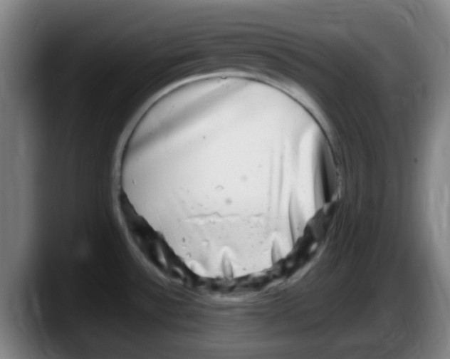 X0000087621532200705251952