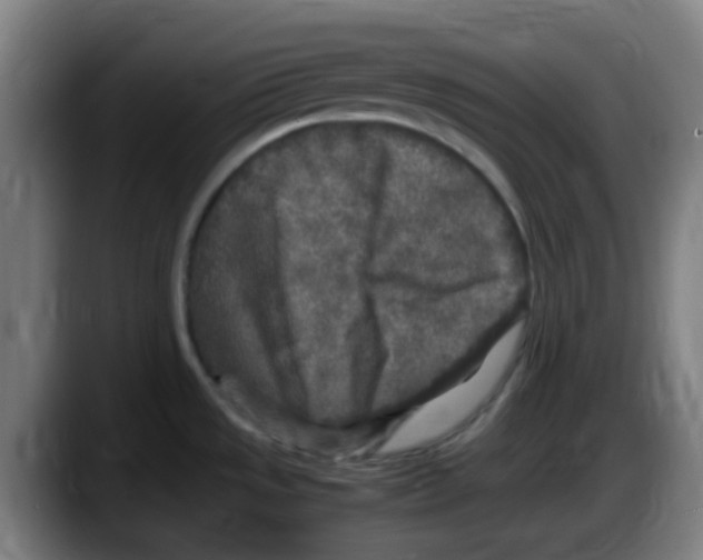 X0000087621533200705251952