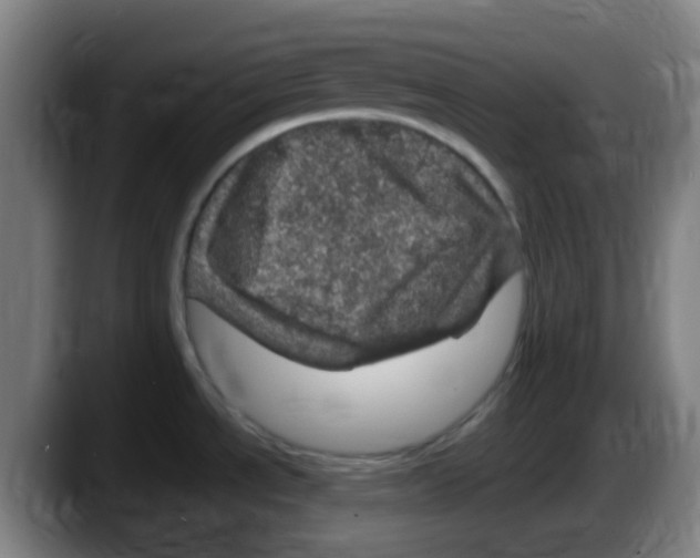 X0000087621534200705251952