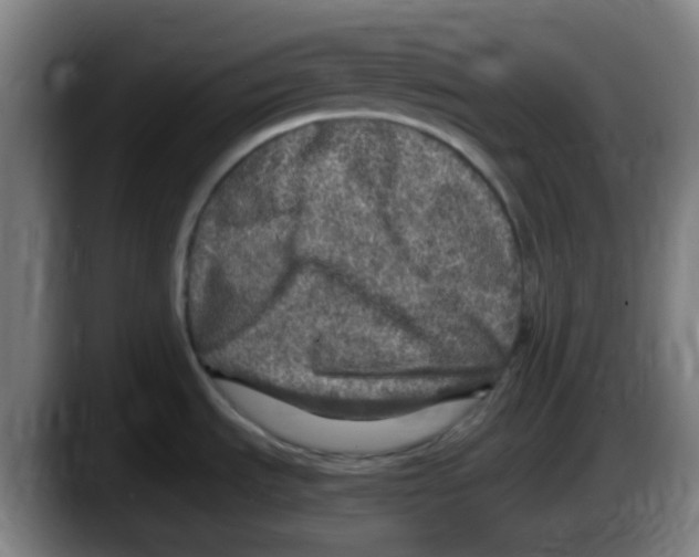 X0000087621535200705251952