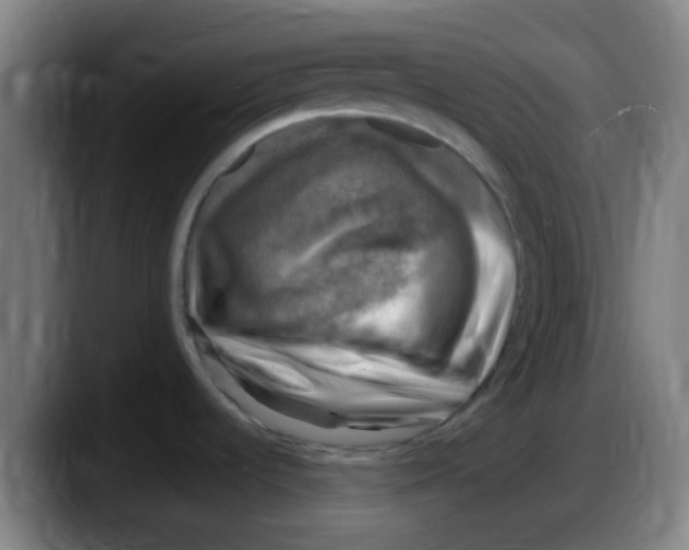 X0000087621536200705251952