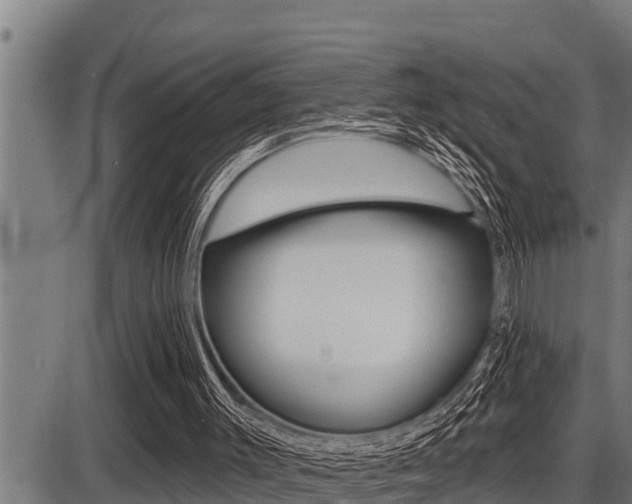 X0000087630003200705030739