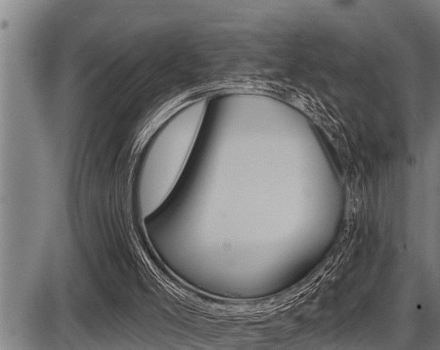 X0000087630005200705030739