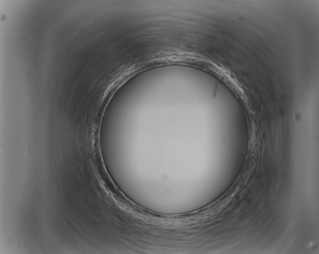 X0000087630010200705030739