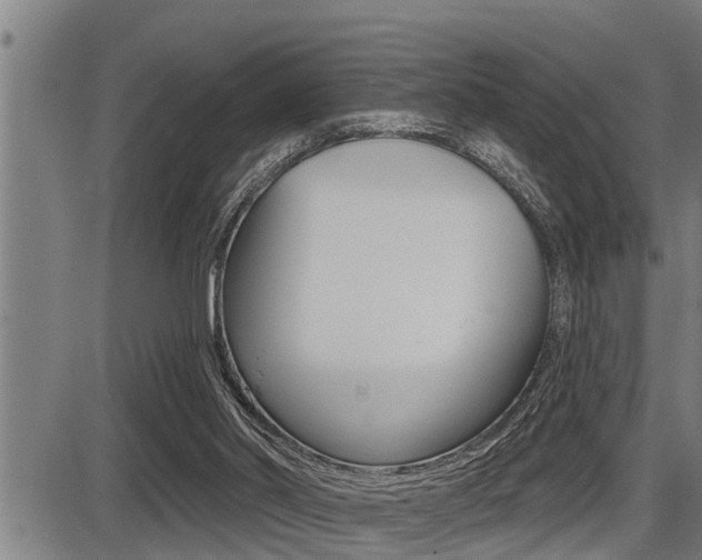 X0000087630014200705030739