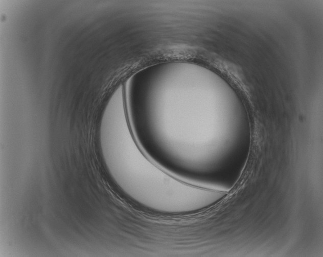 X0000087630017200705030739
