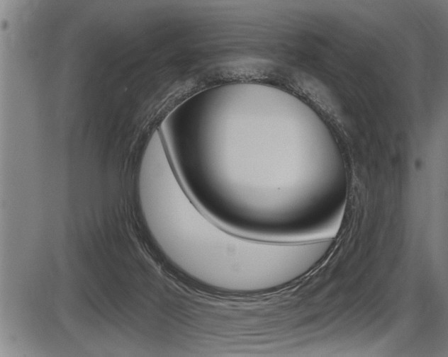 X0000087630021200705030738