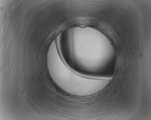 X0000087630027200705030738
