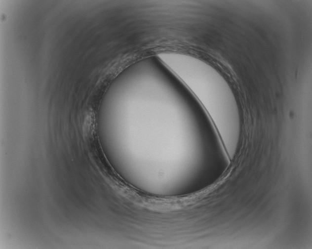 X0000087630029200705030738