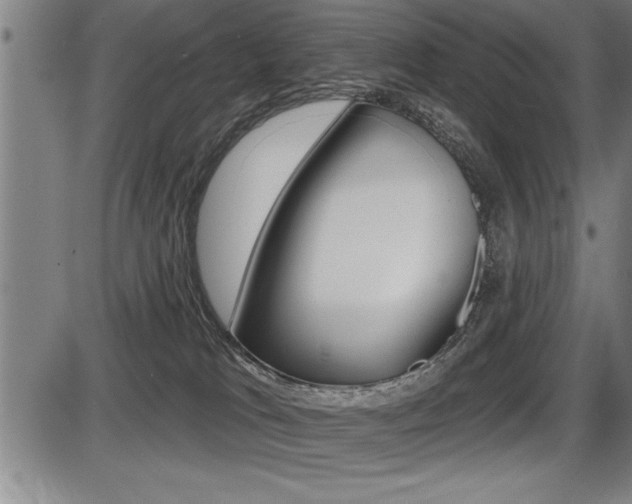 X0000087630037200705030738