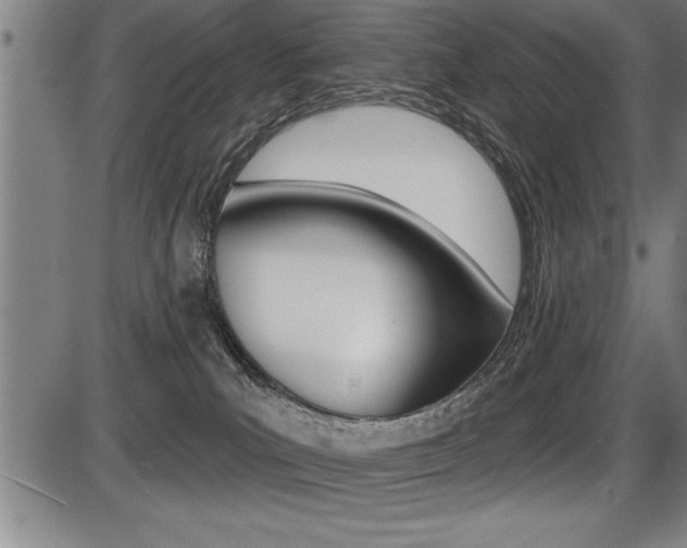 X0000087630039200705030738