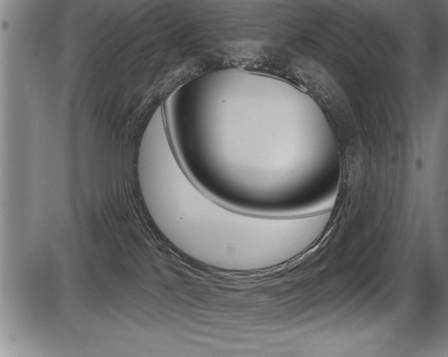 X0000087630041200705030738