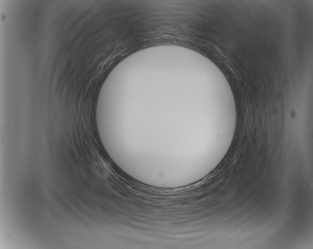 X0000087630043200705030738
