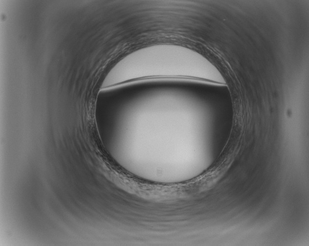 X0000087630044200705030738