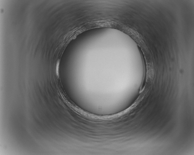 X0000087630047200705030738