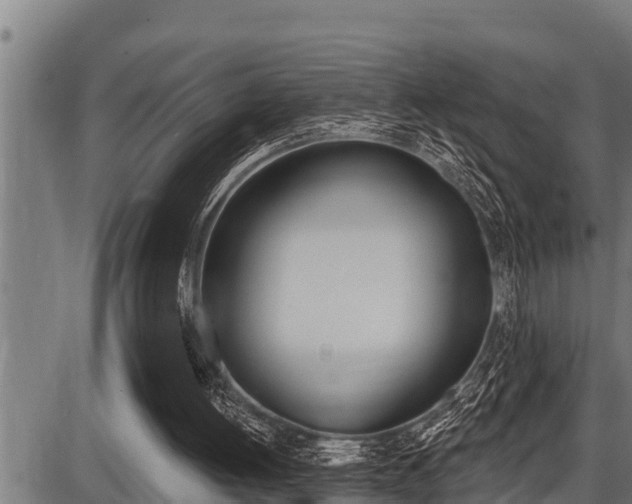 X0000087630052200705030737