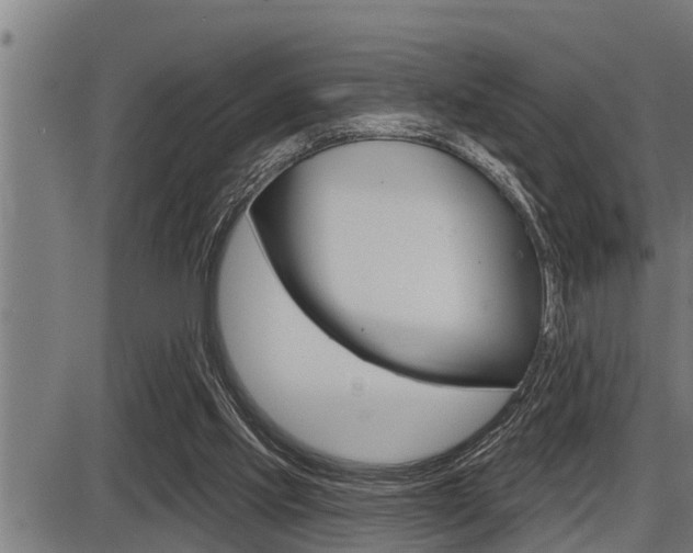 X0000087630061200705030737