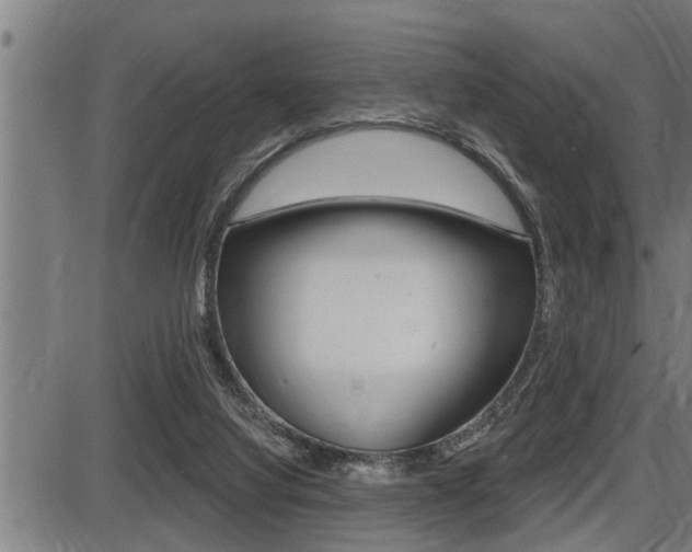 X0000087630068200705030738