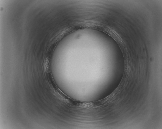 X0000087630077200705030738