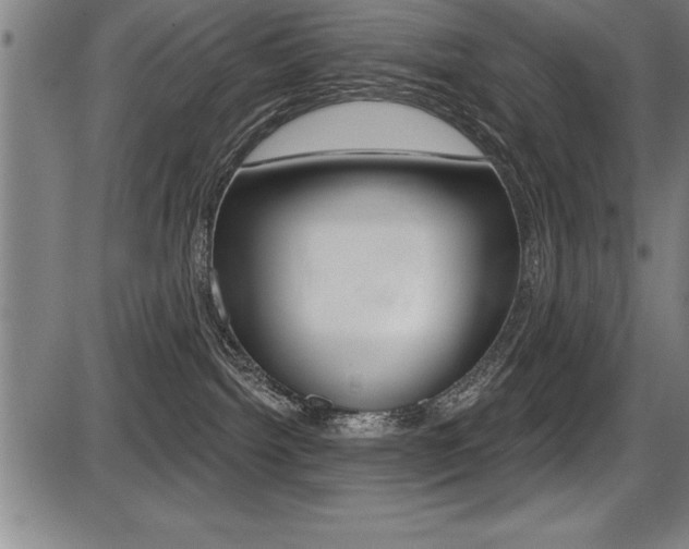 X0000087630092200705030738