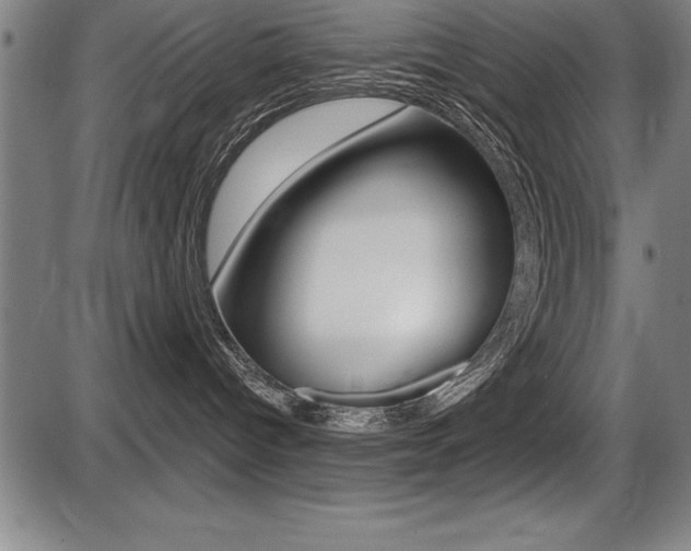 X0000087630096200705030738