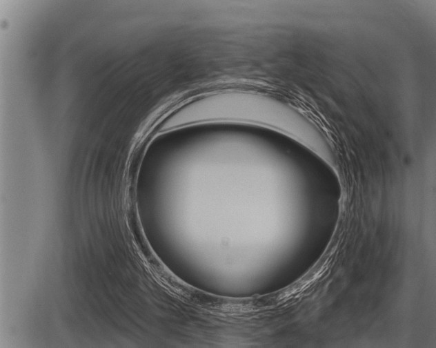 X0000087630101200705030737