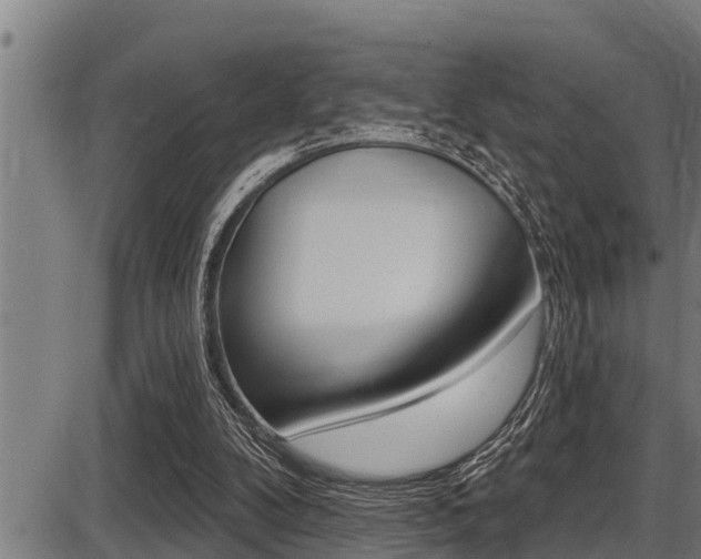 X0000087630104200705030737