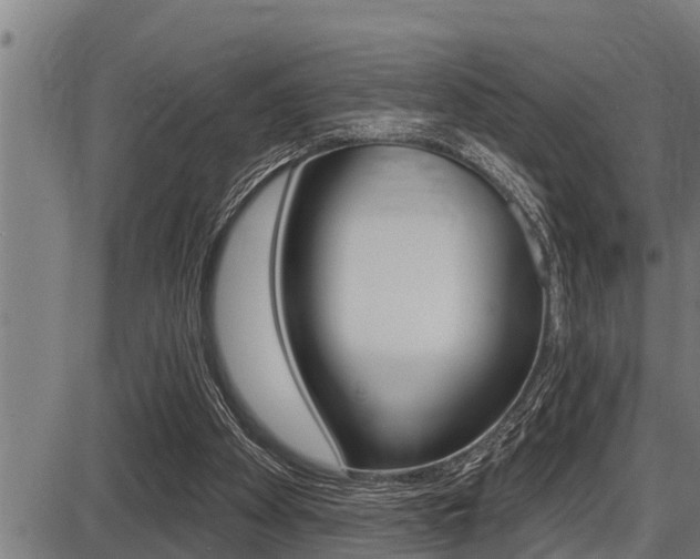 X0000087630105200705030737