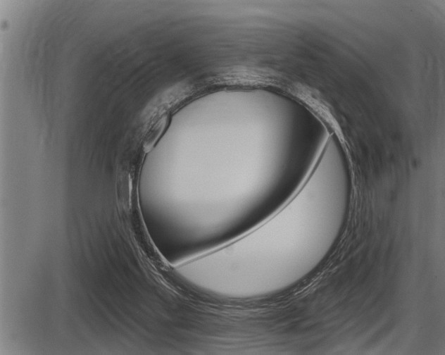 X0000087630109200705030737