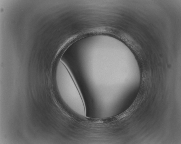 X0000087630112200705030737