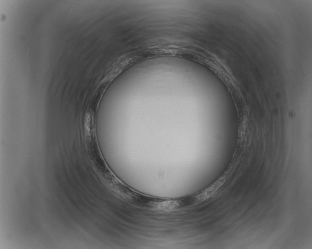X0000087630122200705030737