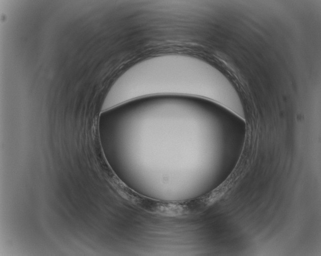 X0000087630125200705030737