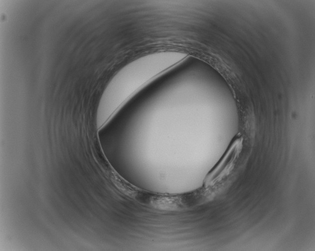 X0000087630129200705030737