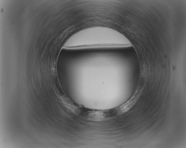 X0000087630140200705030737