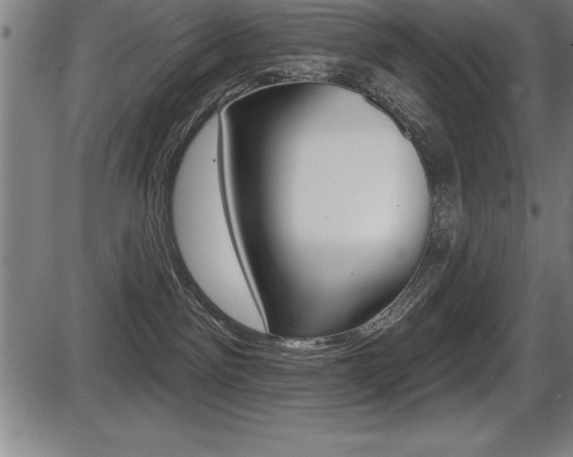 X0000087630141200705030737