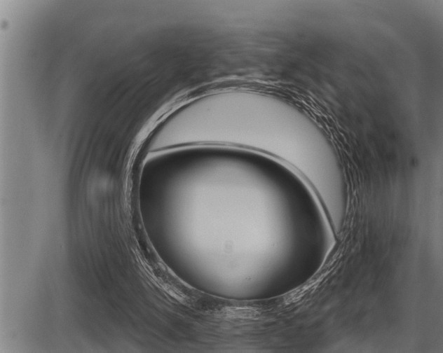 X0000087630150200705030736