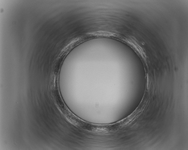 X0000087630157200705030736