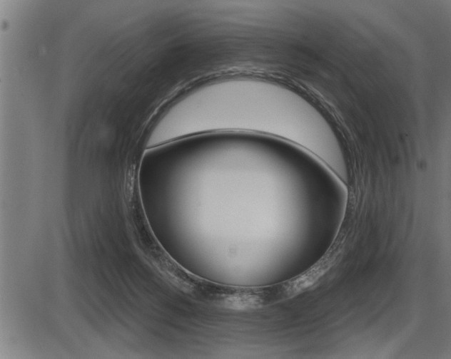 X0000087630168200705030736