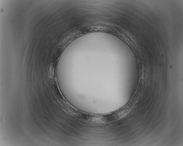 X0000087630173200705030736