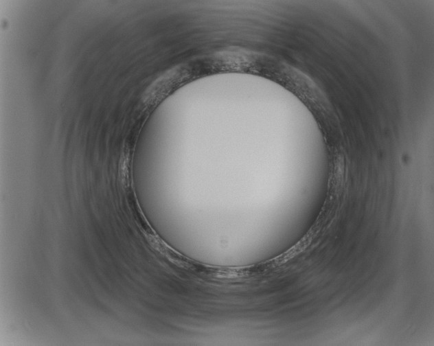 X0000087630177200705030736
