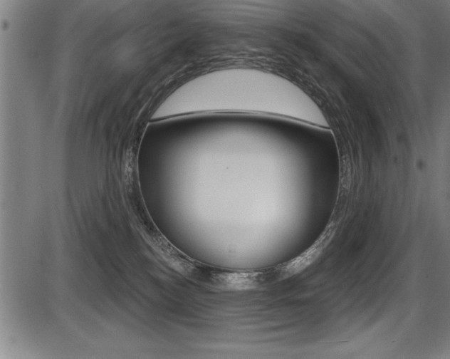 X0000087630184200705030736