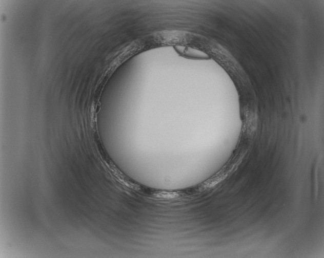 X0000087630189200705030736