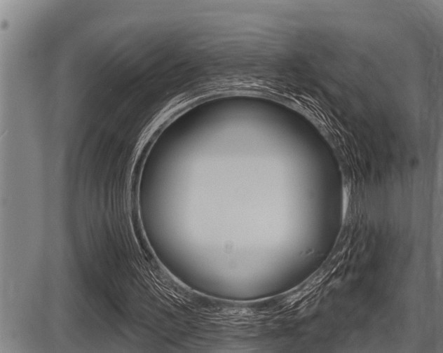 X0000087630195200705030736