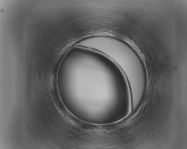 X0000087630201200705030736