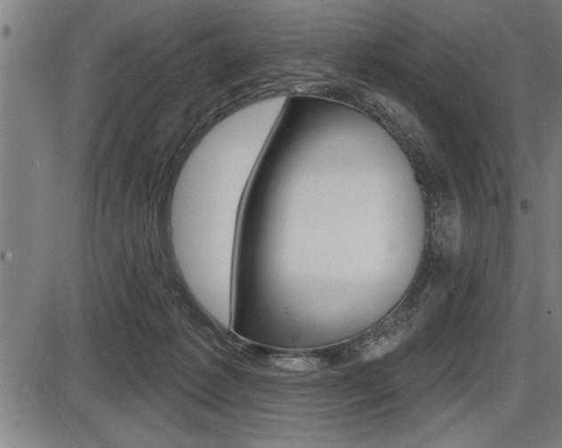 X0000087630221200705030735