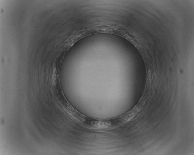 X0000087630223200705030735