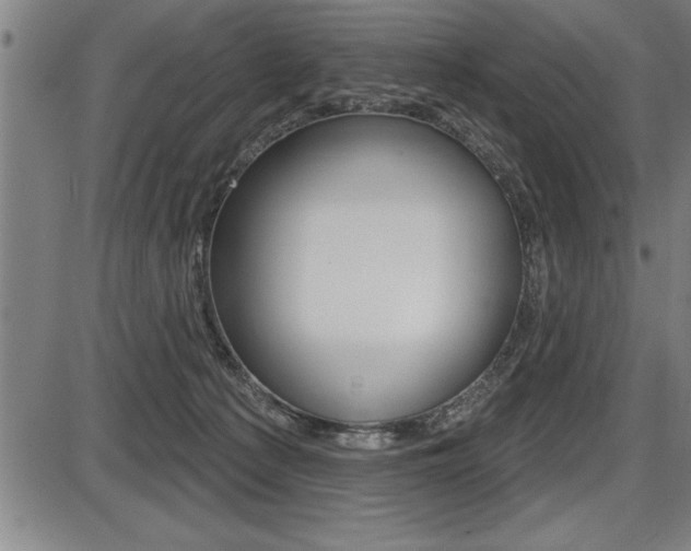 X0000087630225200705030735